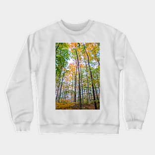 Autumn in the Tree Tops Crewneck Sweatshirt